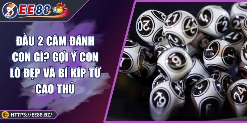 Đầu 2 Câm Đánh Con Gì? Gợi Ý Con Lô Đẹp Và Bí Kíp Từ Cao Thủ