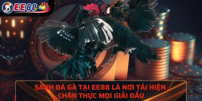 Sảnh đá gà tại EE88 là nơi tái hiện chân thực mọi giải đấu