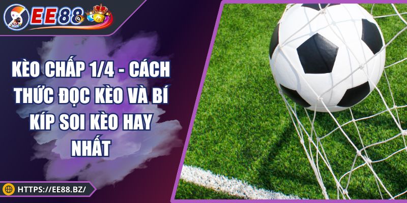 Kèo Chấp 1/4 - Cách Thức Đọc Kèo Và Bí Kíp Soi Kèo Hay Nhất